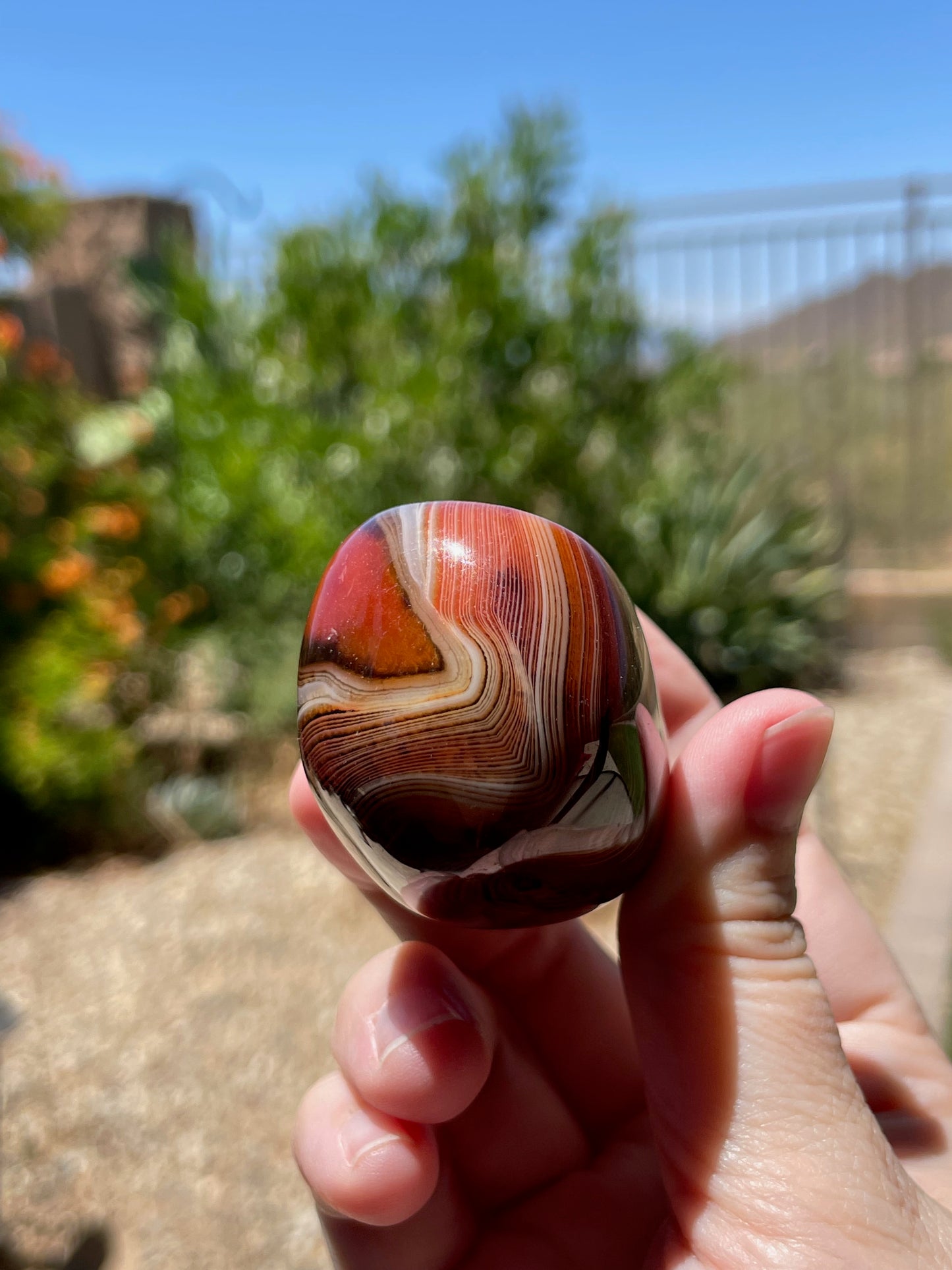 Sardonyx Palm Stone Freeform - P03