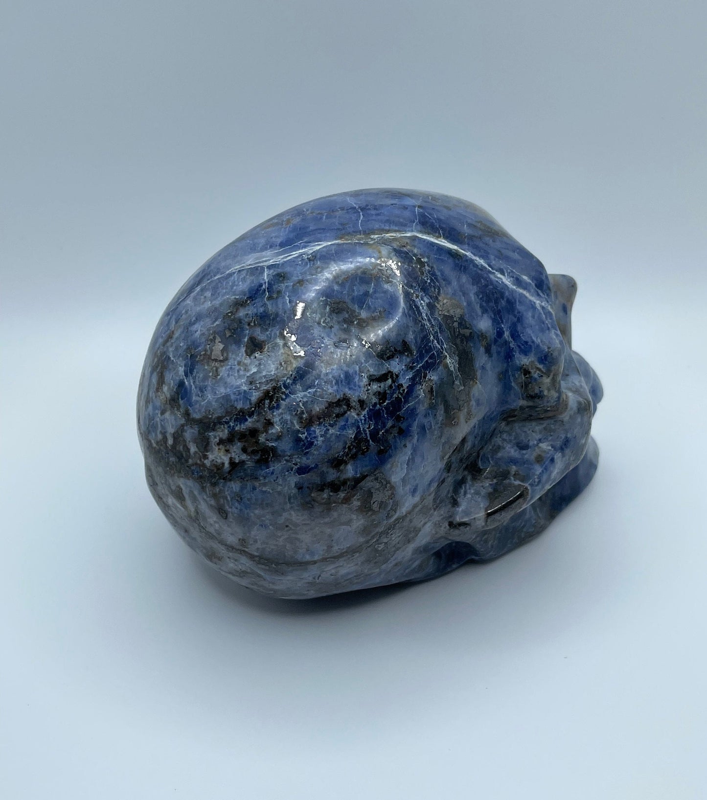 Medium Sodalite Skull Carving with Natural Pyrite Inclusions