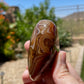Sardonyx Banded Palm Stone - P05