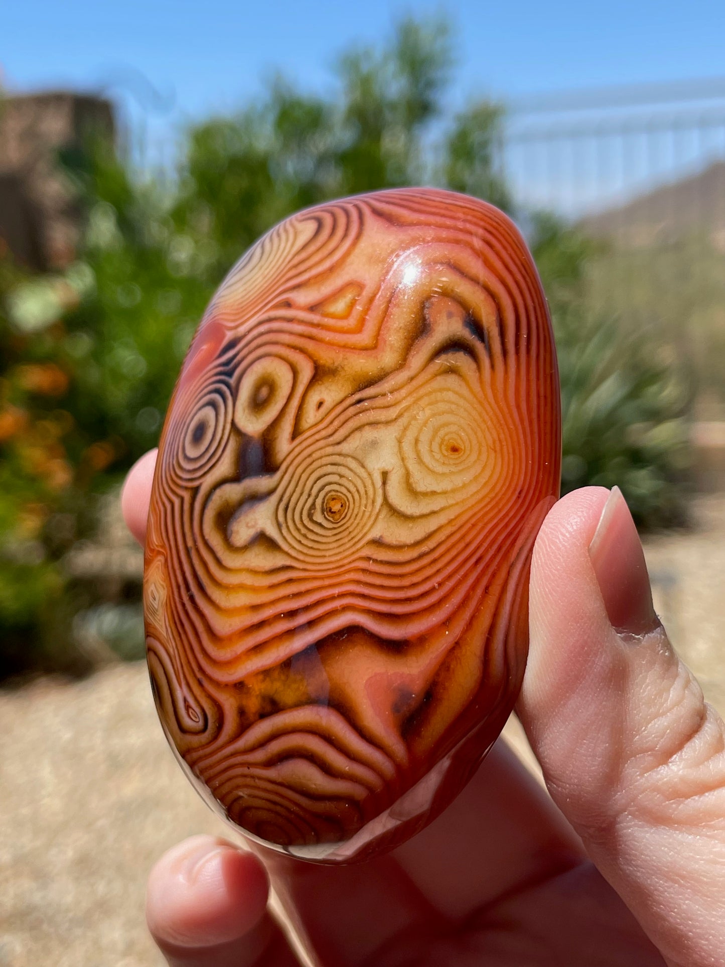 Sardonyx Palm Stone Gallet - P04