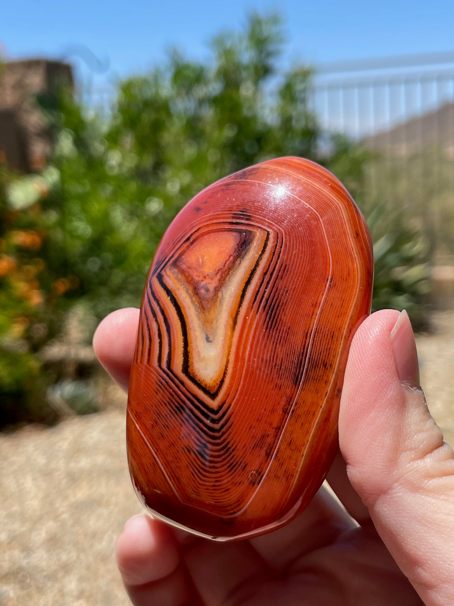 Sardonyx Palm Stone Gallet - P04