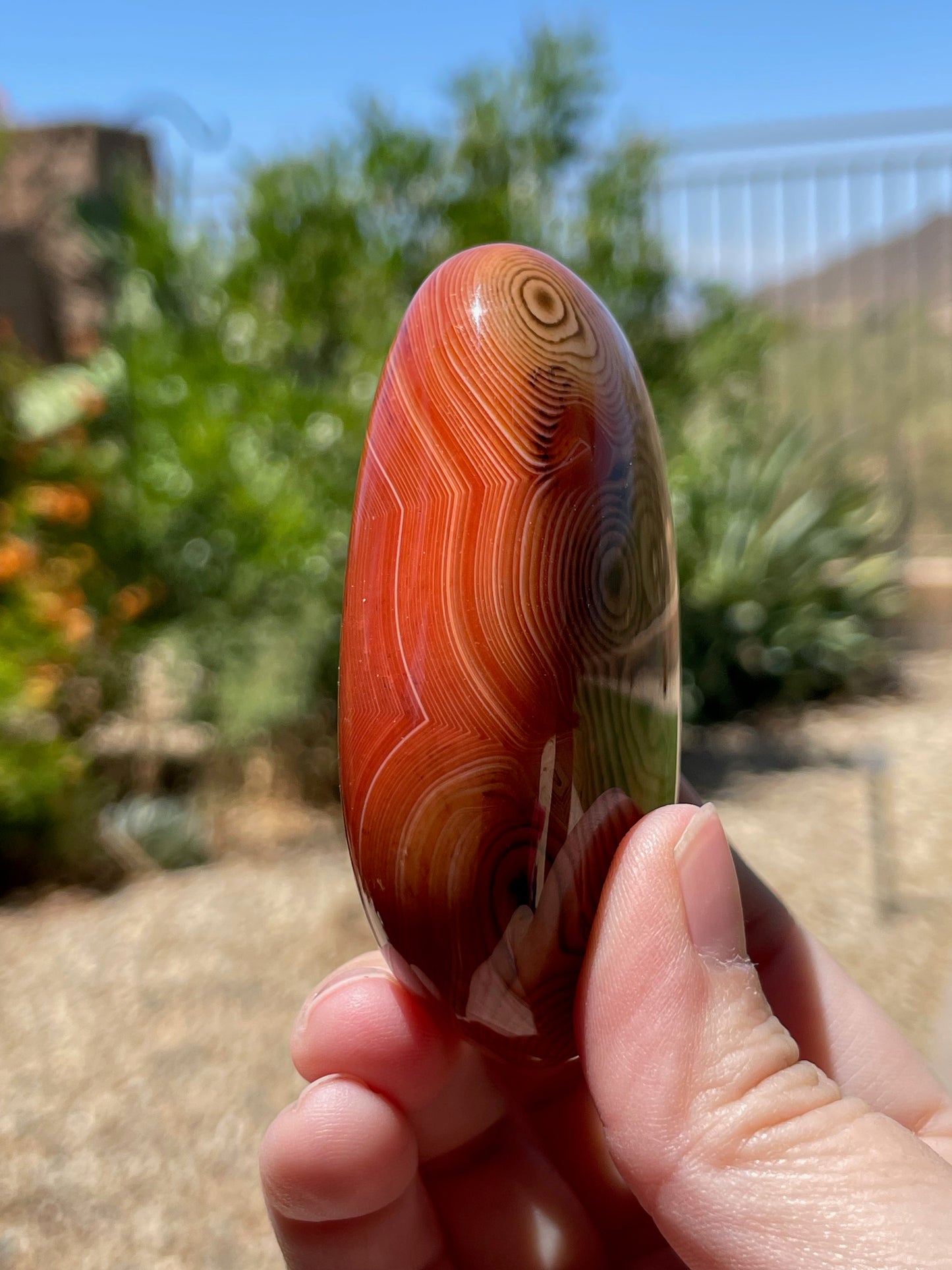 Sardonyx Palm Stone Gallet - P04
