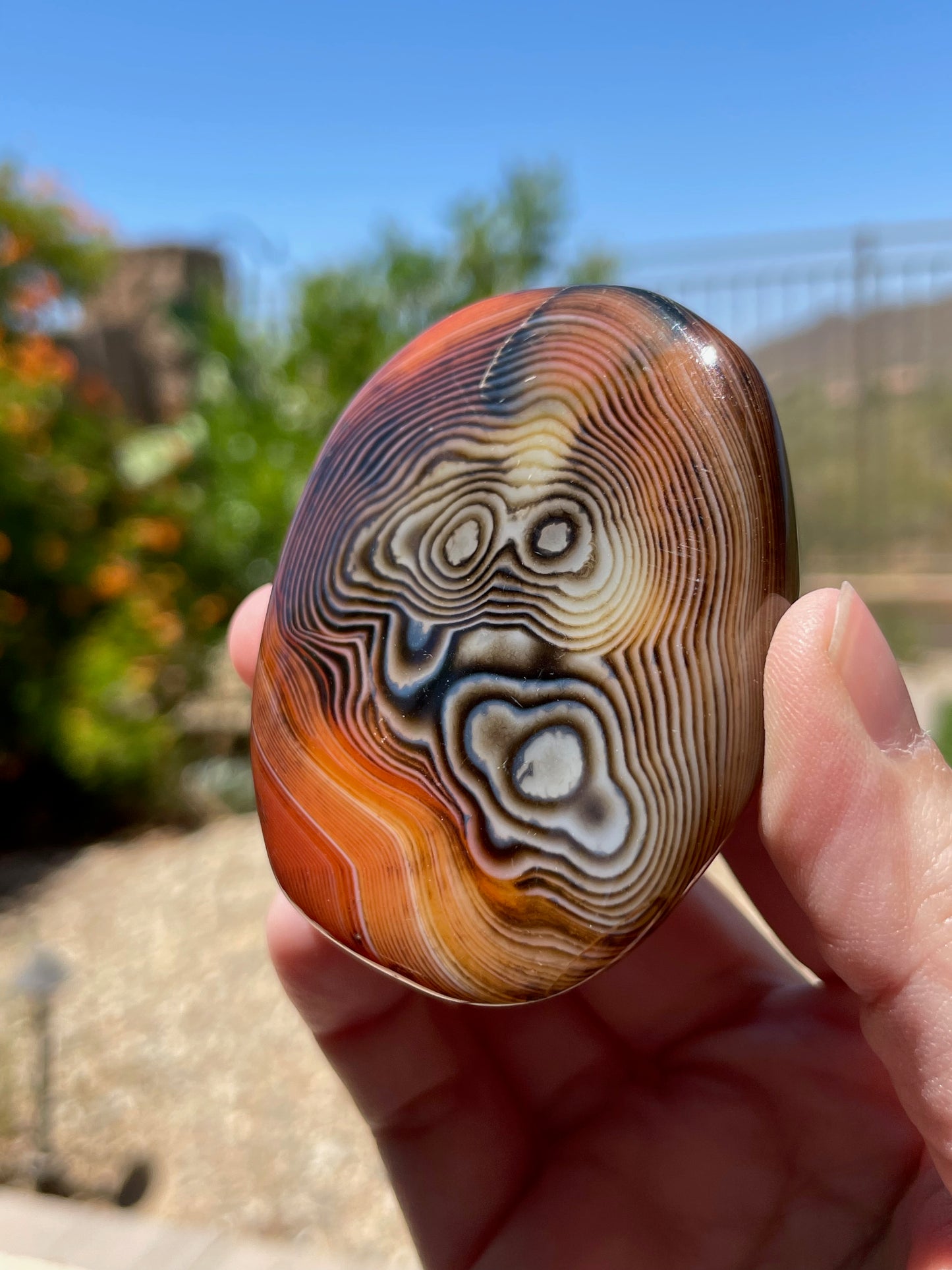 Sardonyx Palm Stone P02