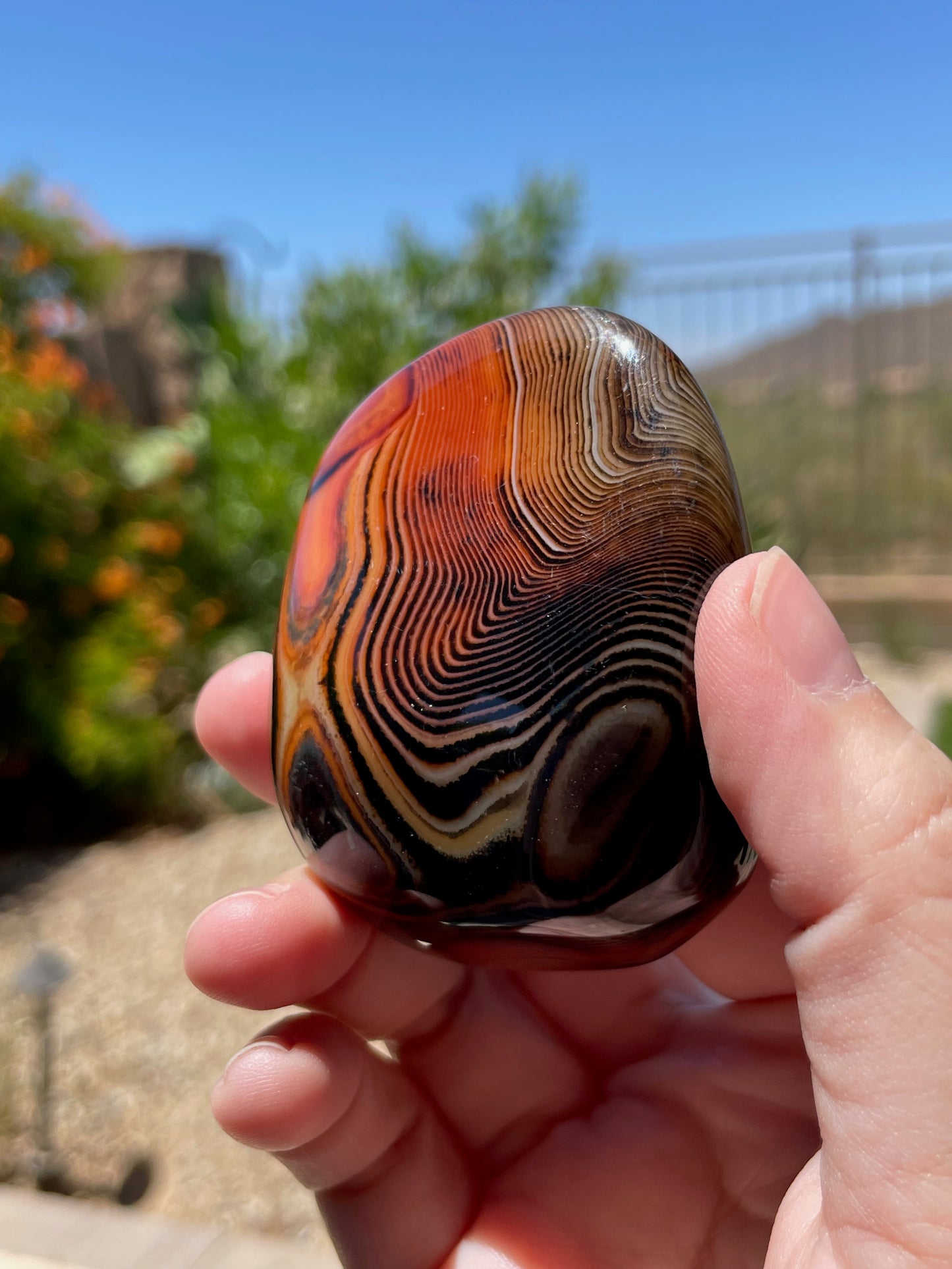 Sardonyx Palm Stone P02