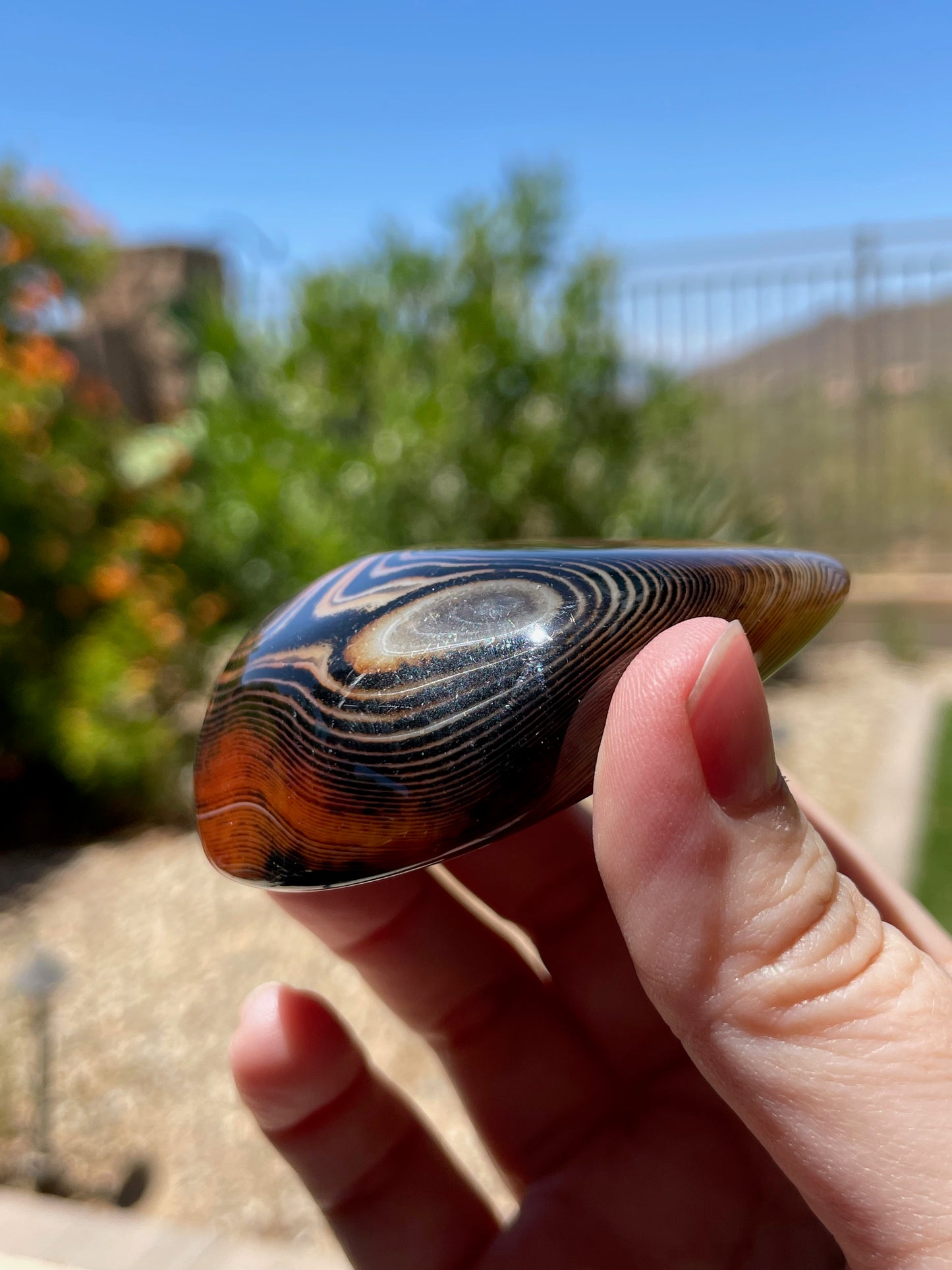 Sardonyx Palm Stone P02