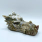 Medium Rainbow Moss Agate Dragon Skull