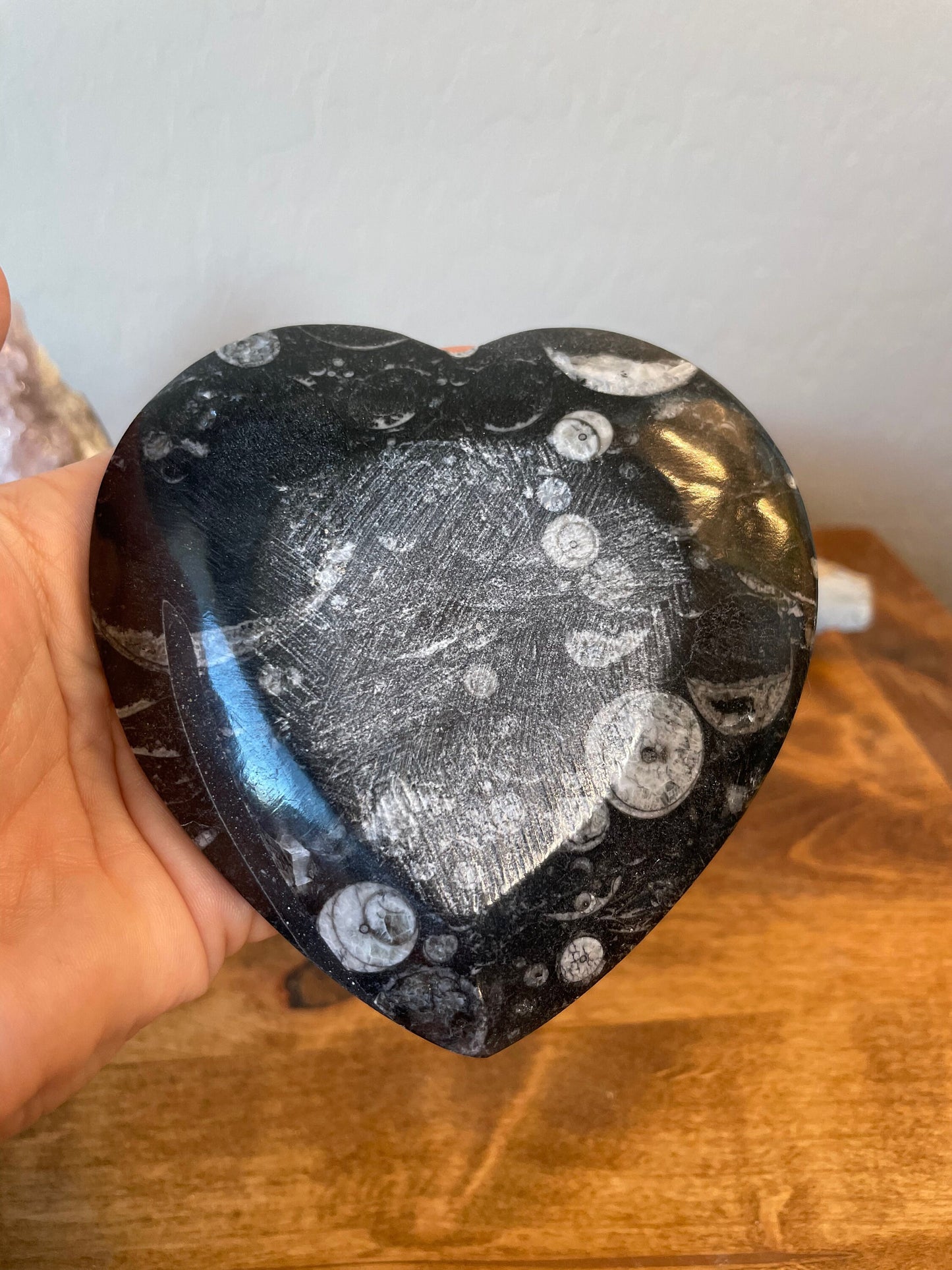 Orthocera Heart-Shaped Bowl