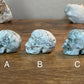 You Choose, Moss and Tree Agate Skull Carvings