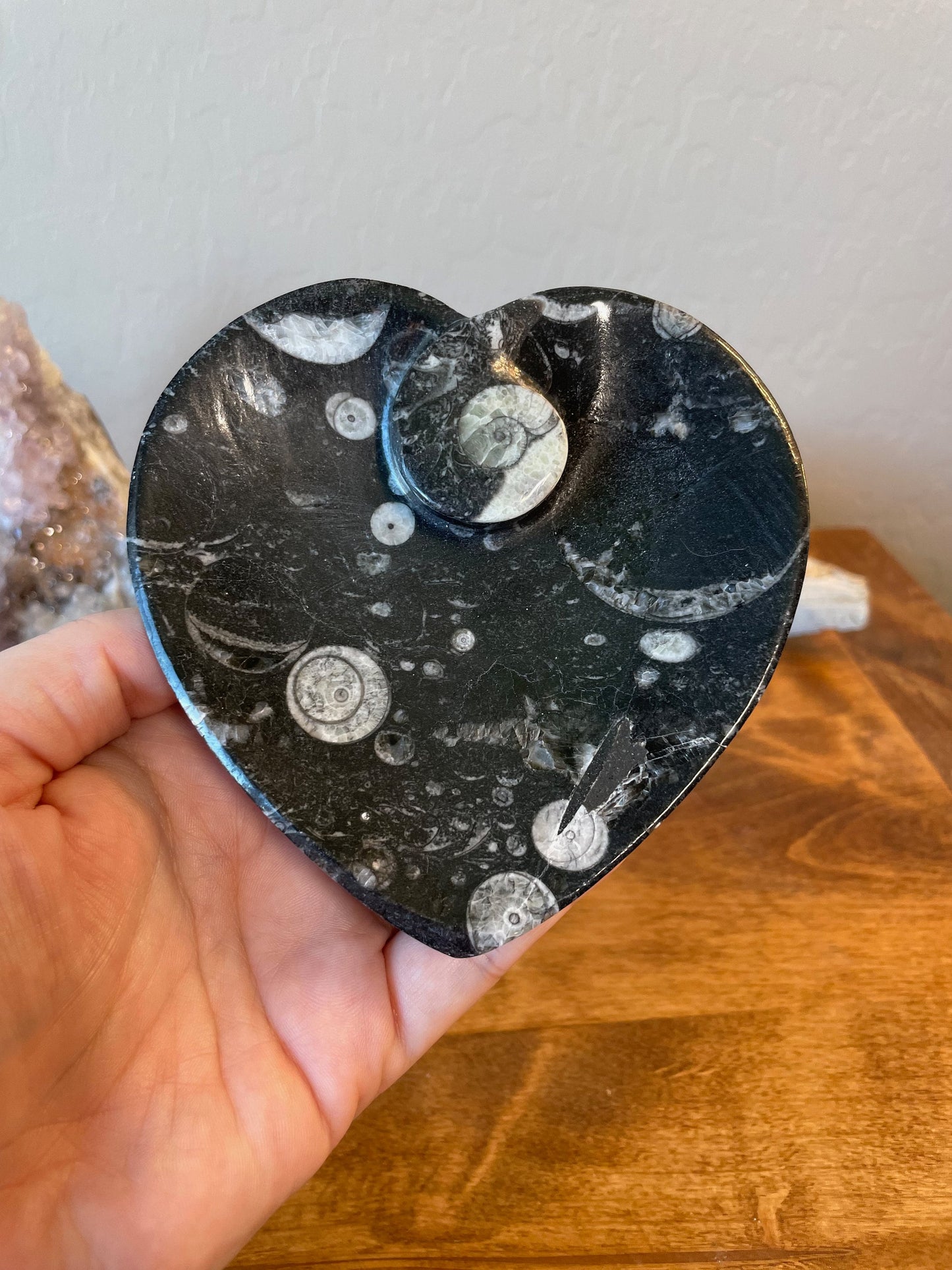 Orthocera Heart-Shaped Bowl