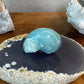 Sky Blue Caribbean Calcite Shell Carving