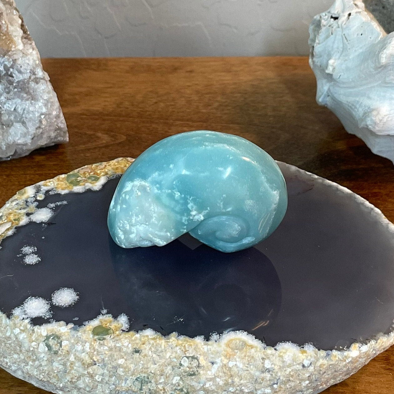 Sky Blue Caribbean Calcite Shell Carving