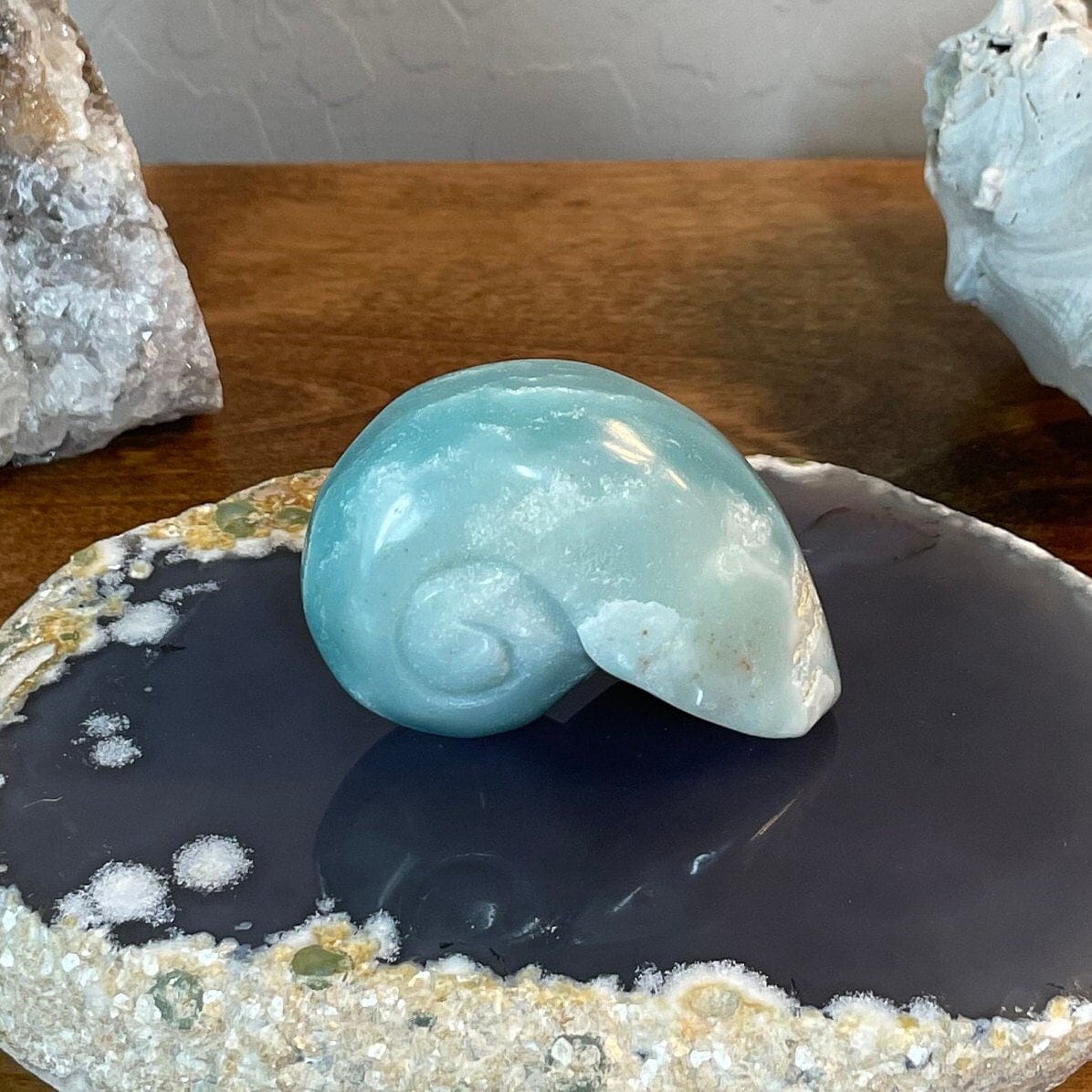 Sky Blue Caribbean Calcite Shell Carving